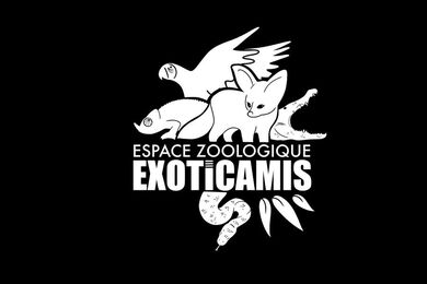 Jeu concours avec Exoticamis 